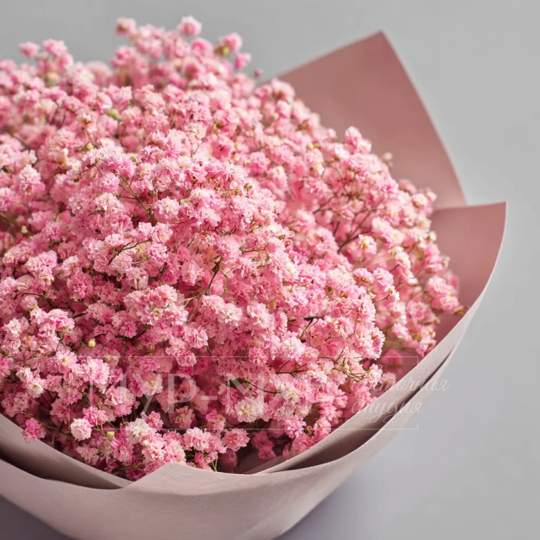 Монобукет из гипсофилы &laquo;Ажурный комплимент&raquo;