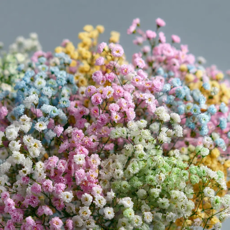 Монобукет из гипсофилы &laquo;Нежный акцент&raquo;