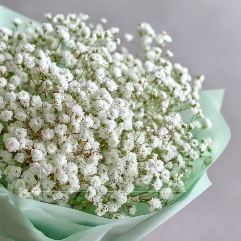 Монобукет из гипсофилы &laquo;Молочная вуаль&raquo;