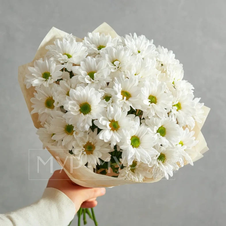 Монобукет из белых хризантем