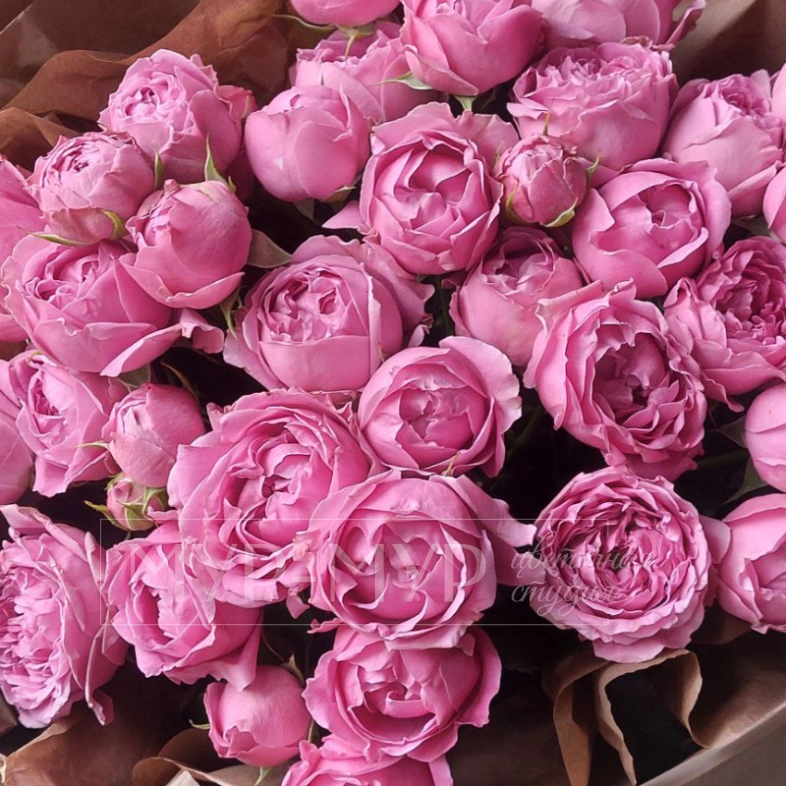 Букет из розовых пионовидных роз 