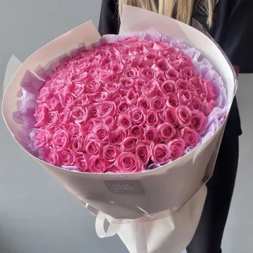 101 розовая Роза Аква в белом 