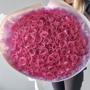 101 розовая Роза Аква в белом  2