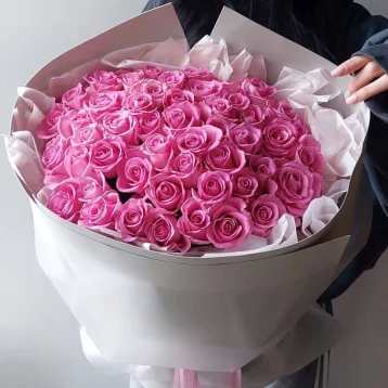 51Аква в сером