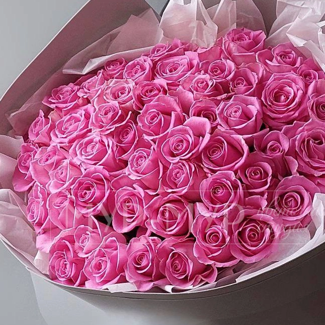 51 розовая роза 