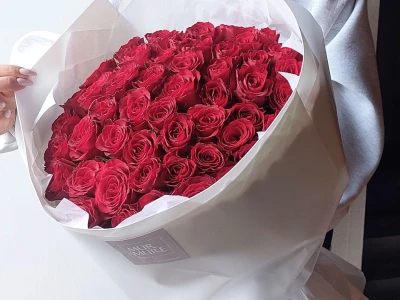 51 бордовая роза