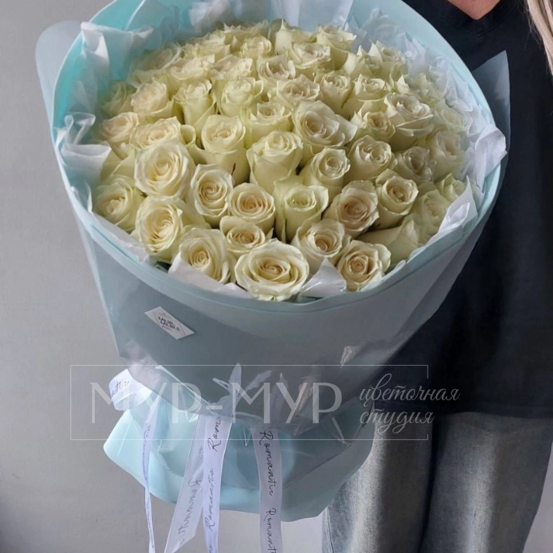 51 Голландская белая роза