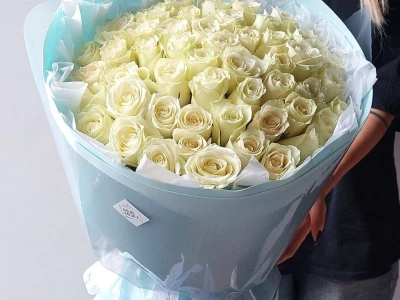 51 Голландская белая роза