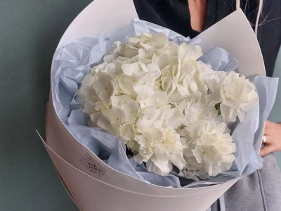 Букет из гортензии и гвоздик «Сахарная вата»