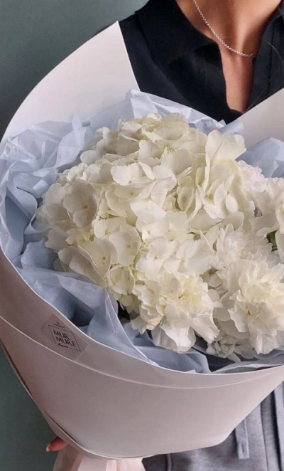 Букет из гортензии и гвоздик «Сахарная вата»