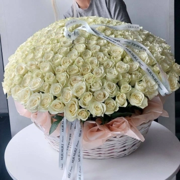 WOW-корзина из 251 белой розы