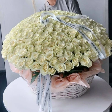 WOW-корзина из 251 белой розы