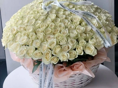 WOW-корзина из 251 белой розы
