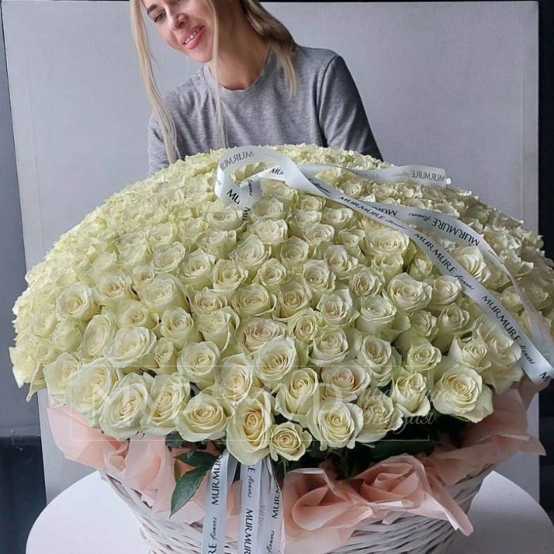 WOW-корзина из 251 белой розы