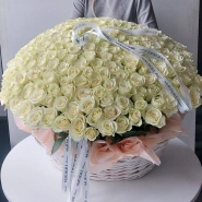 WOW-корзина из 251 белой розы 2