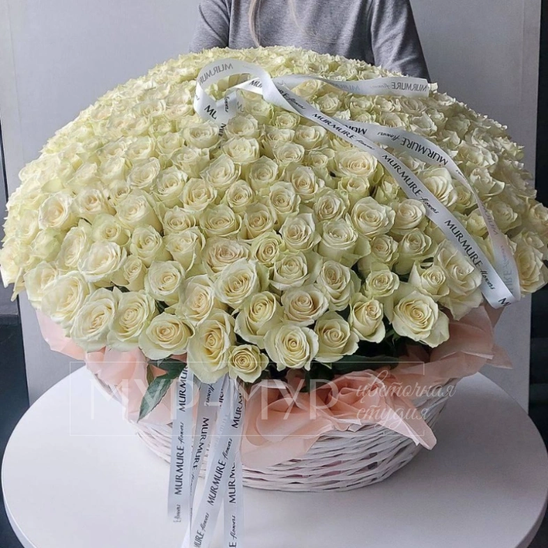 WOW-корзина из 251 белой розы